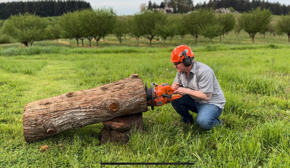 Natural beekeeping advocate and expert Alasdair Mackenzie opens up space in an old log for a swarm of bees to habitat at Blanchet Farm.