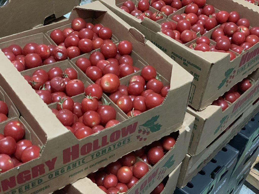 Donate Food Tomatoes