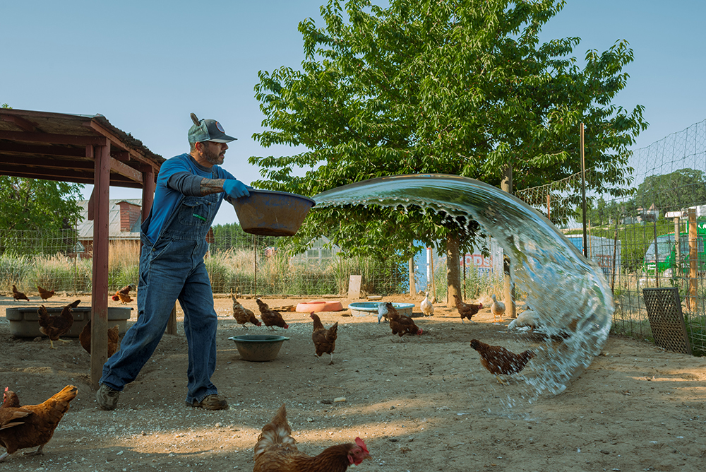 Blanchet Farm water chickens Miggs By Kaveer Rai 2023