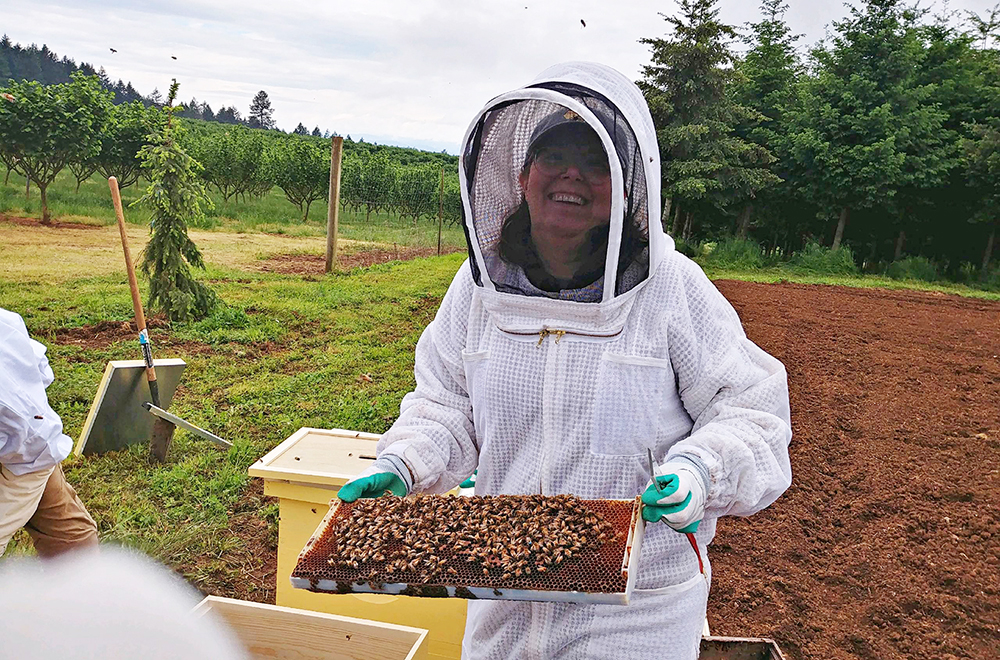 How To Guide Set Up an Urban Beehive with Katy Fackler